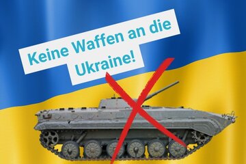 verhandlungen-statt-waffen-keine-weiteren-lieferungen-an-die-ukraine_1741365159_thumb_summary Bundesverfassungsgericht